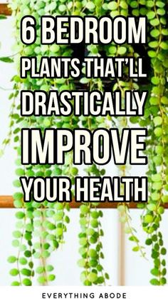 a bunch of green plants hanging from the side of a window with text overlay that reads, 6 bedroom plants that'll drastically improve your health