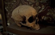 a human skull sitting on top of a shelf