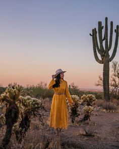 a woman in a yellow dress and cowboy hat standing next to a cactus tree at sunset