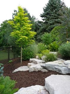 a garden with rocks and trees in the background