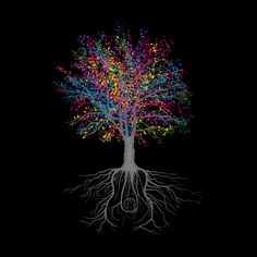 a tree with colorful leaves and roots on a black background