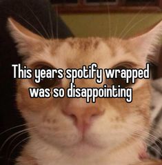 an orange and white cat with the caption this years spoty wrapped was so disappointed