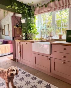 a dog is standing in the middle of a kitchen with pink cabinets and flooring