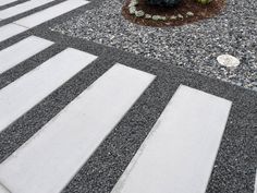 a black and white striped walkway next to a potted plant on top of a tree