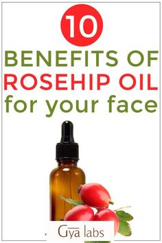 essential oil rosehip Rosehip Oil Recipes, Oils For Face, Carrier Oils For Skin, Oils For Scars, Healing Abilities