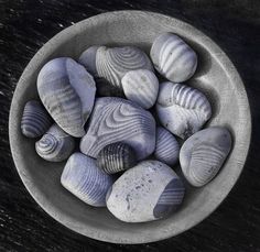 a bowl filled with sea shells on top of a wooden table