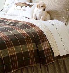 a dog sitting on top of a bed next to pillows