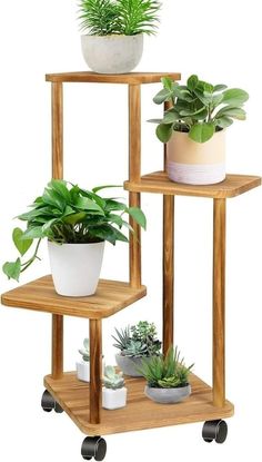 three wooden shelves with plants on them