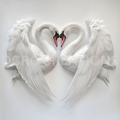 two white swans with red beaks making a heart shape