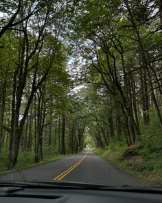 the inside view of a car driving down a tree lined road with trees lining both sides