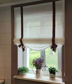 a kitchen window with potted plants and flowers on the ledge next to it,