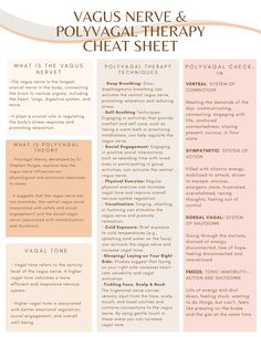 This vagus nerve and polyvagal therapy cheat sheet provides definitions of the vagus nerve, clarity on what vagal tone is, as well as polyvagal therapy techniques, and guidance on polyvagal check-ins Therapy Cheat Sheet, Phoenix Flying, Vagal Tone, Nerf Vague, Nervus Vagus, The Vagus Nerve, Cbt Therapy, Therapy Techniques, Mental Health Therapy