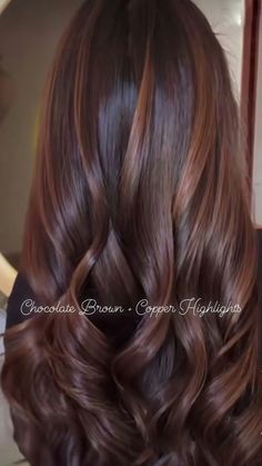 Cherry Brown Hair Color With Highlights, Gold Mahogany Hair, Cherry Chocolate Hair Balayage, Cherry Chocolate Highlights, Chocolate Brown Hair With Copper, Highlights For Reddish Brown Hair, Golden Mahogany Brown Hair, Brown Hair With Reddish Highlights, Chocolate Cherry Hair Color With Highlights