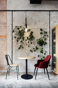 two chairs and a table in front of a wall with plants hanging on the walls