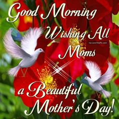 two white birds flying over red flowers with the words good morning wishing all moms