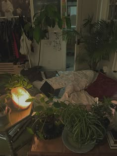 a bedroom with plants and books on the bed