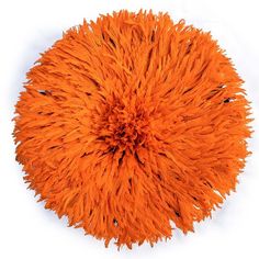 an orange fluffy ball on a white background