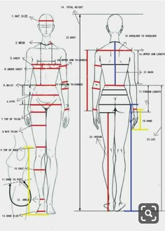 an image of a woman's body and measurements for the back, front and side views