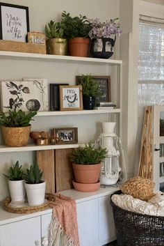 some plants are sitting on shelves in a room with pictures and other things around them