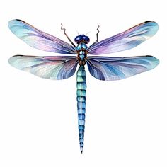 a blue and purple dragonfly sitting on top of a white surface with its wings spread out