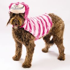 a brown dog wearing a pink and white striped shirt with a hat on it's head