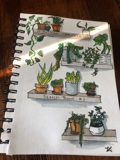 a drawing of plants on shelves with the words sketch book 1 written below them in cursive writing