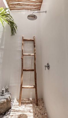 a bathroom with a ladder in the shower and a potted plant next to it