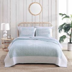 a bedroom with white walls and wooden flooring has a light blue comforter on the bed