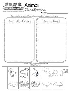 the ocean animals worksheet for preschool