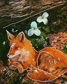 an orange fox laying on the ground next to flowers