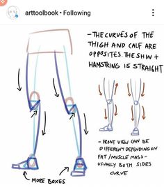 the legs and feet are shown with different angles to show how they can be drawn