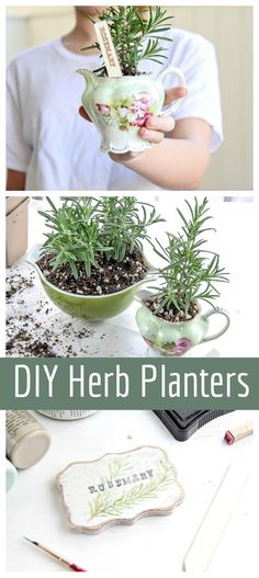 there are three pictures with plants in them and the words diy herb planters