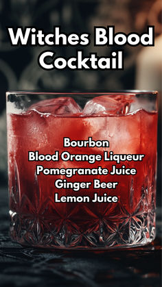 Witches Blood Cocktail Halloween Red Punch With Alcohol, Dark Liquor Cocktails, Easy Halloween Drinks Alcohol, Gothic Cocktails, Spooky Alcoholic Drinks, Halloween Cocktails Recipes, Gothic Drinks, Blood Cocktail, Spooky Cocktails