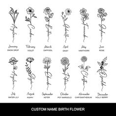 the names of flowers that are drawn by hand in black ink on white paper,