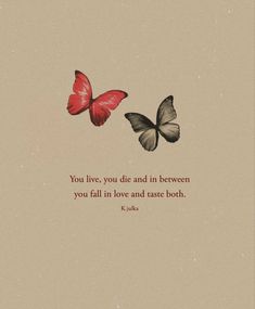 two butterflies flying next to each other with a quote on the back ground that says, you live, you die and in between you fall in love and case both