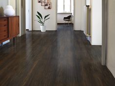 an empty hallway with wood floors and white walls in the background is a plant on a wooden cabinet