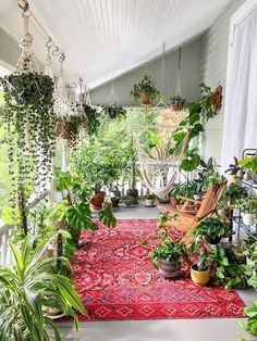 a porch covered in lots of plants and potted plants on top of a red rug