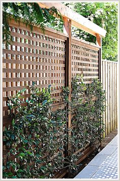 Outdoor Privacy Screens - No clue how to start searching for the right solution for your needs? Explore no further, check out Amazon for everything you need. Pergola Design