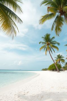 Tropical beaches | Summer travel dreams | Coastal aesthetics | Relaxing by the sea | Beach journey | Crystal-clear waters | Ocean bliss | Seaside escape  
#tropicalparadise #beachjourney #oceanbliss #summerdreams #coastal_aesthetics