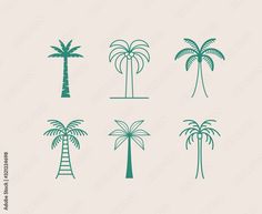 palm trees with different shapes and sizes on a light background, set of four silhouettes