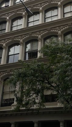 a tall building with lots of windows next to a tree