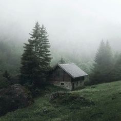 a cabin in the woods on a foggy day