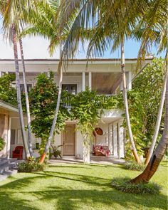 palm trees line the front lawn of a house