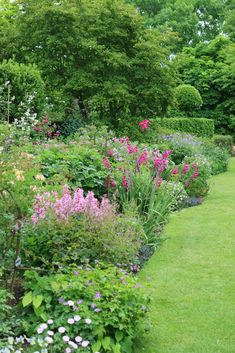 a garden filled with lots of different types of flowers and plants growing on the side of a lush green field