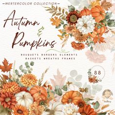 autumn pumpkins and flowers watercolor collection