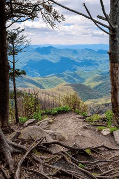 a view from the top of a mountain with trees and mountains in the background