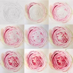 six different pictures of pink flowers on white paper