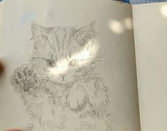 a hand holding an open book with a drawing of a cat