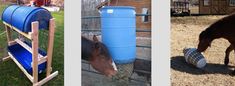 three different pictures of horses eating out of buckets and drinking water from blue barrels