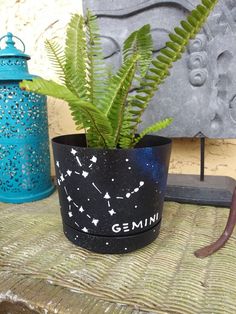 a potted plant sitting on top of a wooden table next to a blue lantern